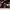 https://res.cloudinary.com/billionhands/image/upload/v1779684210/items/dwtcxbrtpdotewp6ii04.webp-2cover