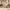 https://res.cloudinary.com/billionhands/image/upload/v1779685245/items/b5wpkb1rik3ybylikfh2.webp-1cover