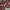 https://res.cloudinary.com/billionhands/image/upload/v1779687104/items/s3obag0znnossdcme3l0.webp-2cover