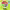 https://res.cloudinary.com/billionhands/image/upload/v1779691467/items/iy4floapnsq6a2mkykd2.png-1cover