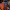 https://res.cloudinary.com/billionhands/image/upload/v1779692417/items/ja9uz6urq8ej12brwgvb.jpg-1cover