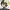 https://res.cloudinary.com/billionhands/image/upload/v1779694052/items/adaago2i56lcmjpjzlbr.webp-0cover