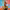 https://res.cloudinary.com/billionhands/image/upload/v1779694327/items/s22pukmwt51xbmkupjit.jpg-3cover