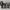 https://res.cloudinary.com/billionhands/image/upload/v1779694574/items/du6dbksc0gpinbyxphcr.jpg-2cover