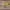 https://res.cloudinary.com/billionhands/image/upload/v1779694699/items/yrzexkpqoqh1kqatuvin.png-3cover