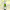 https://res.cloudinary.com/billionhands/image/upload/v1779699857/items/pgb4qzngp9cotmct44nn.jpg-0cover