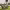 https://res.cloudinary.com/billionhands/image/upload/v1779706137/items/m0kgaom2ozr4eplgrkwi.jpg-3cover