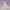 https://res.cloudinary.com/billionhands/image/upload/v1779706706/items/n70nuveiexxilav0ilab.avif-1cover
