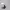 https://res.cloudinary.com/billionhands/image/upload/v1779708152/items/oyto5sqkpqvdhyyppeol.jpg-1cover