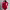 https://res.cloudinary.com/billionhands/image/upload/v1779709498/items/xfomjijoae1yokcq1ped.webp-2cover