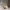 https://res.cloudinary.com/billionhands/image/upload/v1779710938/items/amfqzvvs706vnhihwraj.jpg-1cover