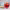 https://res.cloudinary.com/billionhands/image/upload/v1779710941/items/xc0ql0ubdqxgbevcieew.jpg-0cover