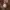 https://res.cloudinary.com/billionhands/image/upload/v1779711218/items/pp5nobivzbdi80cmsrem.webp-1cover