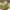 https://res.cloudinary.com/billionhands/image/upload/v1779711221/items/p10voug4yufqwnlkmta4.webp-3cover