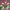 https://res.cloudinary.com/billionhands/image/upload/v1779711401/items/npidsiowue8smn45vqex.jpg-2cover