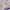 https://res.cloudinary.com/billionhands/image/upload/v1779711811/items/ryv4joqmgnlqghjt3orn.webp-1cover