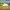 https://res.cloudinary.com/billionhands/image/upload/v1779712023/items/wgo3xmdfildxndlpwalh.webp-0cover