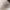 https://res.cloudinary.com/billionhands/image/upload/v1779712896/items/df1plnkuisrpk2tahg7e.webp-3cover