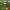 https://res.cloudinary.com/billionhands/image/upload/v1779714141/items/n641shhsqcjayqfooro8.jpg-0cover
