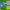 https://res.cloudinary.com/billionhands/image/upload/v1779714141/items/r6q67ulvczc0bgc5kooc.jpg-2cover