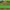 https://res.cloudinary.com/billionhands/image/upload/v1779714142/items/nh86u0wqx55edtsqozgv.jpg-1cover