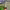 https://res.cloudinary.com/billionhands/image/upload/v1779714143/items/pfbacekctxhuwcvonkz2.jpg-3cover