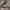 https://res.cloudinary.com/billionhands/image/upload/v1779716150/items/rfv6obonoshadtr6ml7o.avif-1cover