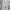 Spago's Pasta Fresca cover