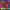 https://res.cloudinary.com/billionhands/image/upload/v1779718161/items/iknbzocq08k8kpbh9gmn.jpg-3cover