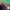 https://res.cloudinary.com/billionhands/image/upload/v1779718536/items/tuzocdoqxcf4rx0fmlrn.webp-1cover