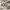 https://res.cloudinary.com/billionhands/image/upload/v1779720354/items/mm5yh2wf2vyrnxtdhgcg.jpg-0cover