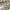 https://res.cloudinary.com/billionhands/image/upload/v1779720368/items/g9ydhtdzkn54hvqvuvns.jpg-0cover