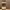 https://res.cloudinary.com/billionhands/image/upload/v1779721385/items/o1wmhzeeet6cxuxdevcb.jpg-2cover