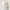 https://res.cloudinary.com/billionhands/image/upload/v1779721387/items/b4l6ycxowjiubloyqriw.png-2cover