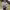 https://res.cloudinary.com/billionhands/image/upload/v1779721687/items/av8kwzcvnca2uogimt9f.jpg-1cover