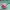 https://res.cloudinary.com/billionhands/image/upload/v1779727957/items/pms2wyzssdkpyckpvx4y.jpg-1cover