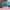 https://res.cloudinary.com/billionhands/image/upload/v1779730105/items/yn7hx4bnakwlrjef03r7.gif-2cover