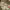 https://res.cloudinary.com/billionhands/image/upload/v1779733829/items/hpaecdlseio3jm9jmtxv.jpg-0cover