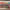 https://res.cloudinary.com/billionhands/image/upload/v1779734136/items/gctnivrubeooxw26opli.jpg-0cover