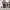 Properties on Calle Mesones (Granada) cover