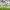 https://res.cloudinary.com/billionhands/image/upload/v1779739963/items/grqbwa3xxb9inqfvgrqh.webp-0cover