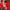 https://res.cloudinary.com/billionhands/image/upload/v1779740602/items/wh7icf4fy0gowkvb9qh9.jpg-2cover