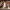 https://res.cloudinary.com/billionhands/image/upload/v1779740840/items/ej5cinyoi15hhdt3djtu.jpg-3cover