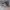 https://res.cloudinary.com/billionhands/image/upload/v1779743317/items/emtkjkg2p5ycjbccfgox.webp-1cover