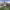 https://res.cloudinary.com/billionhands/image/upload/v1779743319/items/ytqfc4ibi97trquhaefk.webp-3cover