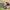 https://res.cloudinary.com/billionhands/image/upload/v1779750085/items/pmkdlcpjy9devquvzm1s.avif-3cover