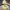 https://res.cloudinary.com/billionhands/image/upload/v1779750371/items/dhwisutgtjrzn0kbbedv.jpg-0cover