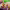 https://res.cloudinary.com/billionhands/image/upload/v1779755119/items/ja4zstr1lazfapah6hny.jpg-1cover