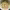 https://res.cloudinary.com/billionhands/image/upload/v1779756324/items/snyscomimdtz0u7myuws.jpg-3cover