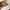 https://res.cloudinary.com/billionhands/image/upload/v1779758383/items/zphkowh40kbjb6rrdbj2.webp-0cover
